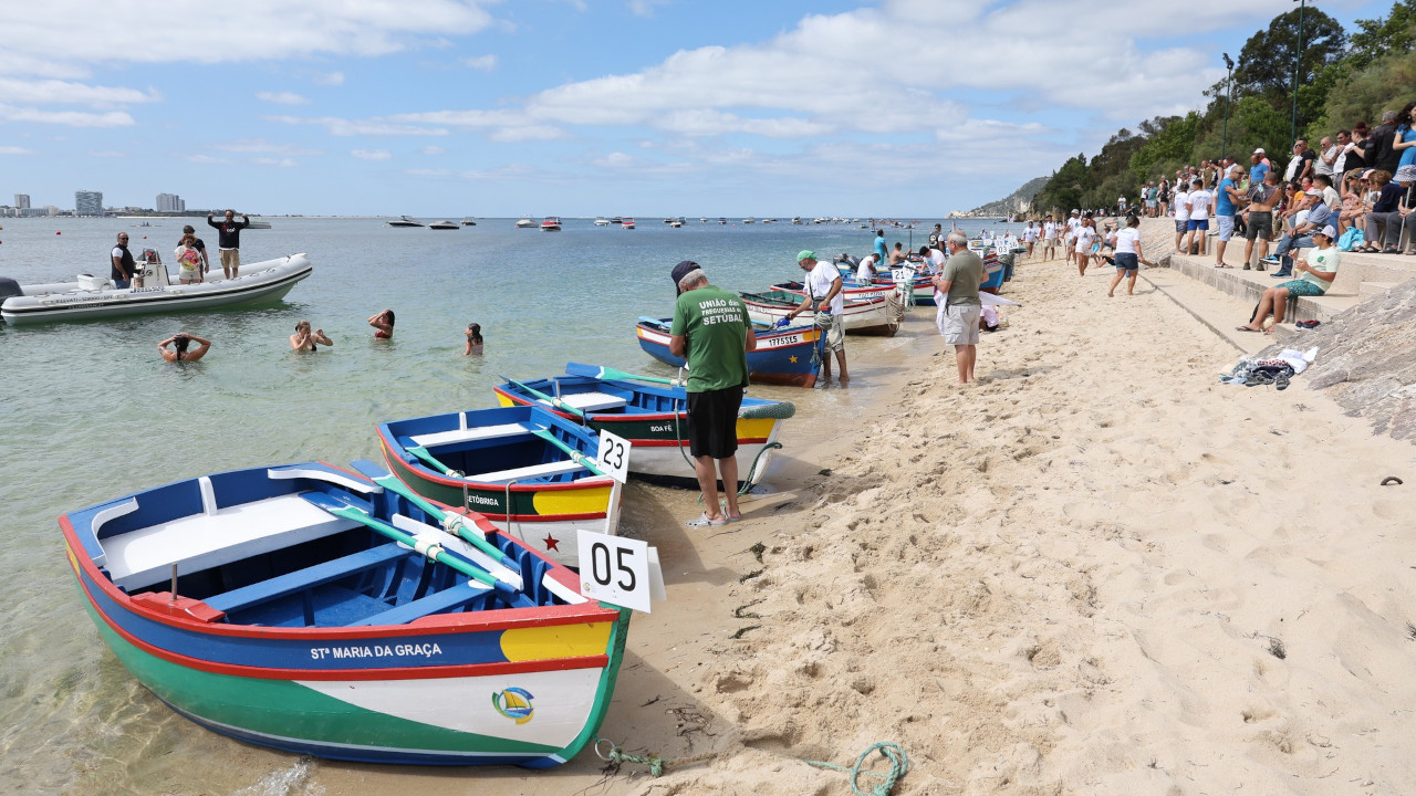 6.ª Regata de Botes a Remos Regista Participação Record