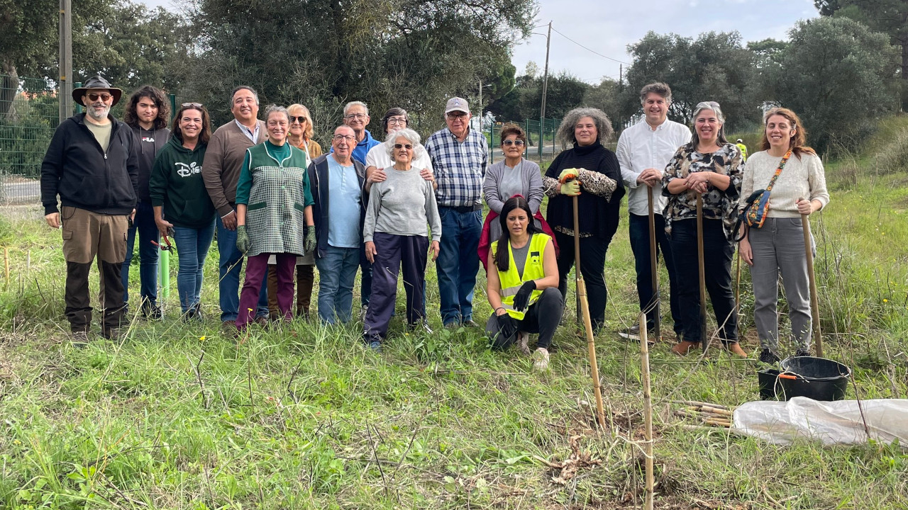 1º Aniversário do Bosque IPSeco Marca Avaliação Positiva e Novos Avanços