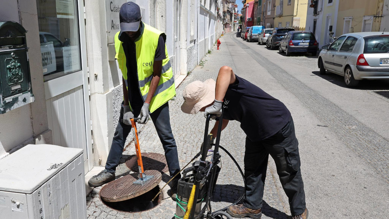 Ações de desinfestação controlam pragas urbanas