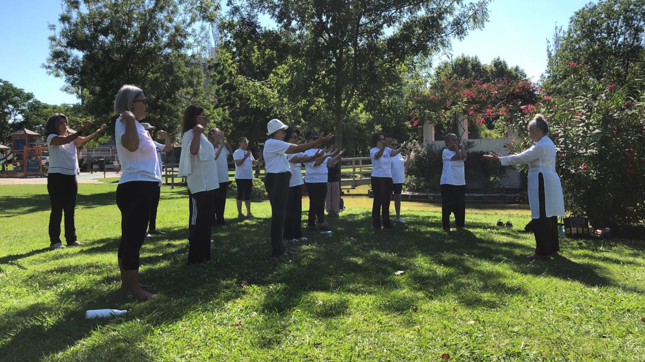 Qi Gong encerra ano letivo com chave de ouro