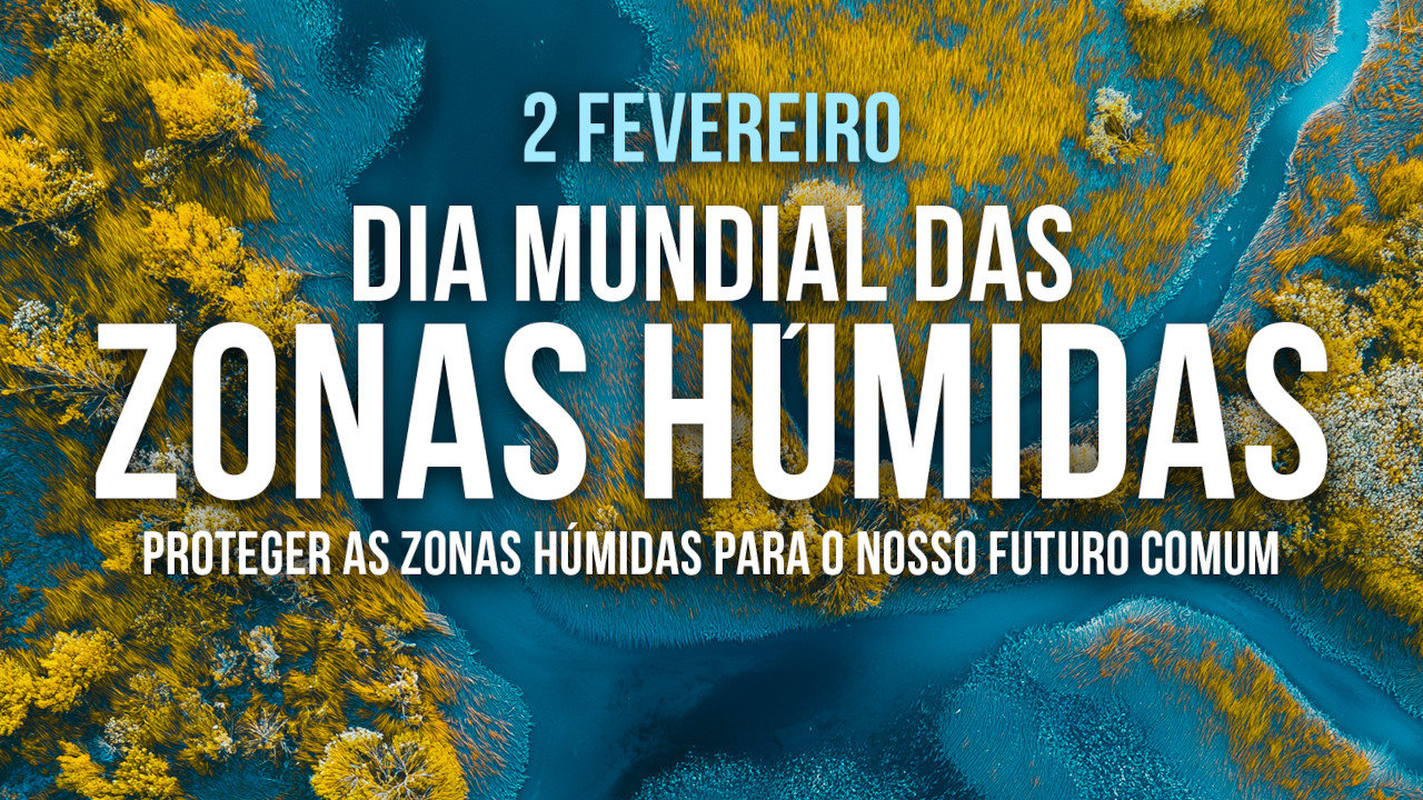 Hoje é dia de celebrar o ambiente!