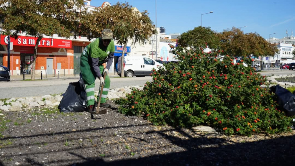 Operações de limpeza urbana em curso