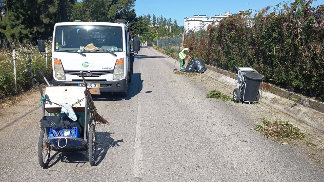 Trabalhos de desmatação na Rua Azinhaga de São Joaquim