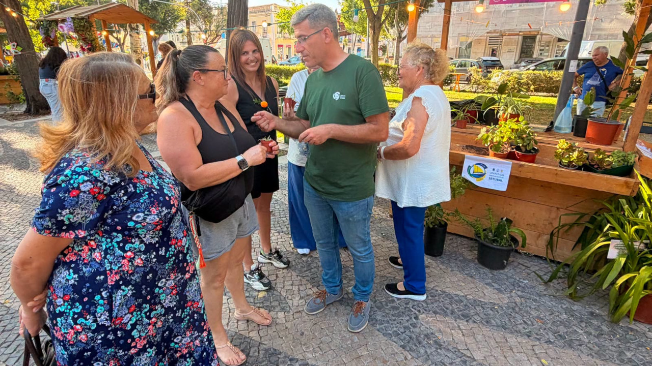Festa da Flor pintou a Avenida Luísa Todi de cor