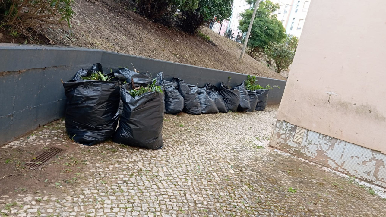 Intervenções nas ruas Falcão Machado e Afonso Castro