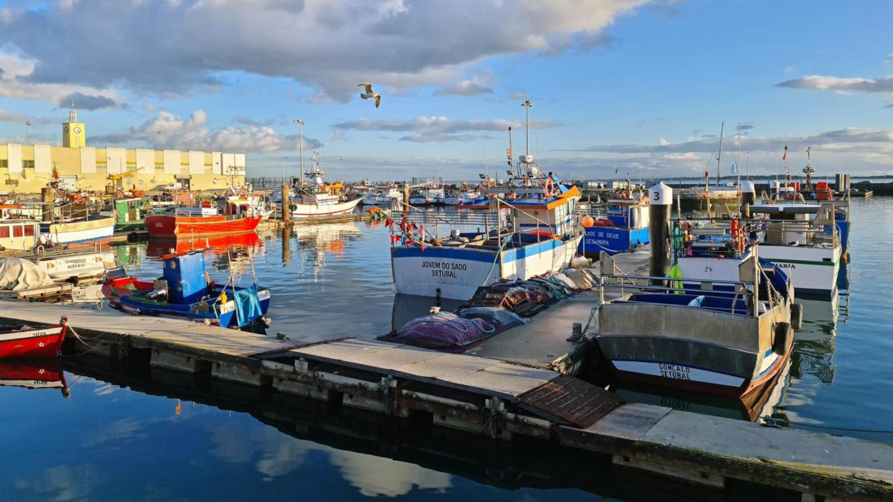 Setúbal é Mar