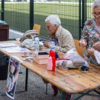 Cãominhada e Mercadinho de Trocas