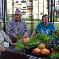 Cãominhada e Mercadinho de Trocas