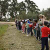 Oficinas ambientais nas escolas