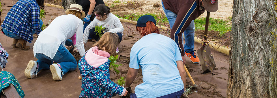 Voluntários tornam-se jardineiros por um dia e embelezam território